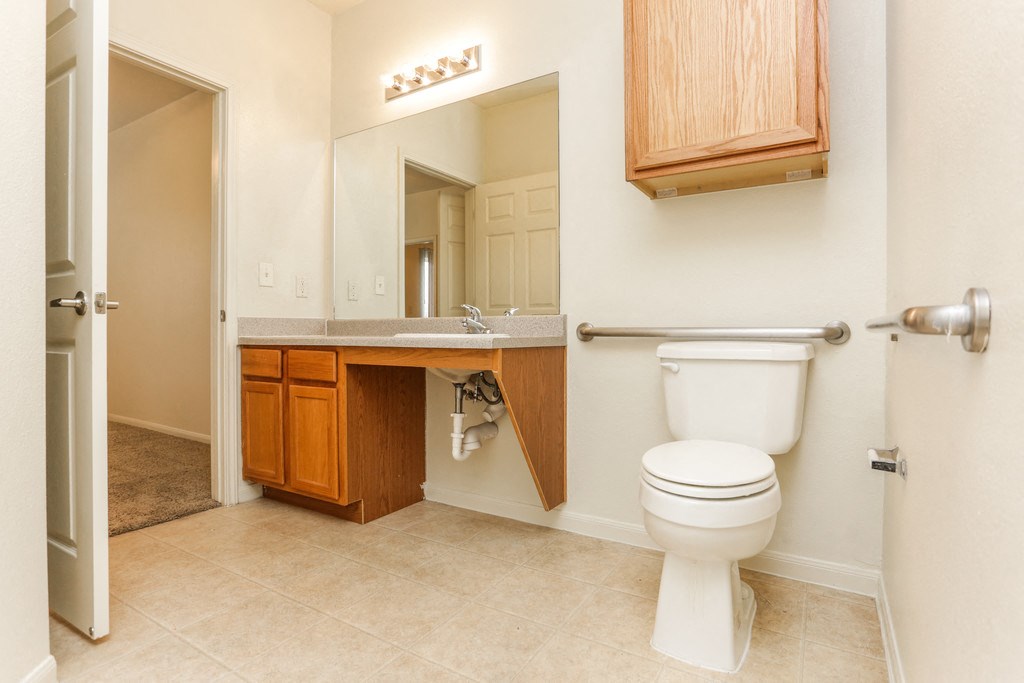 a bathroom with a toilet and a sink and a mirror