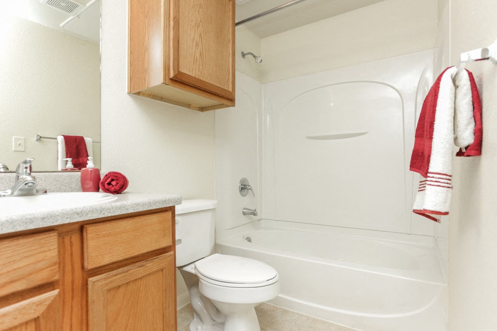 a bathroom with a toilet and a shower and a sink