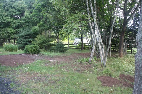 a clearing in the woods with trees and a fence