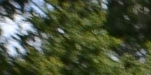 Oak Reserve at Winter Park | Apartments in Winter Park, FL