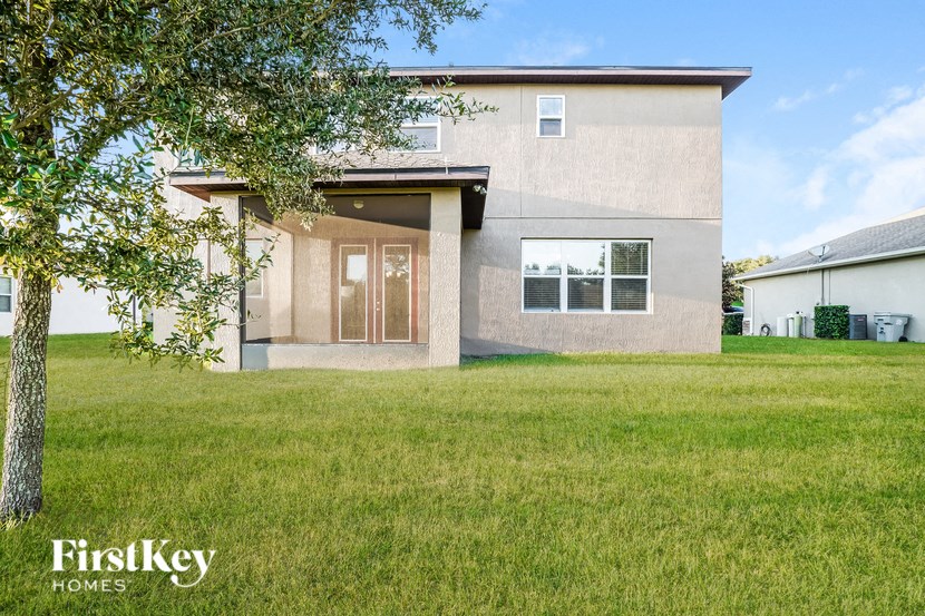 a house with a lawn and a tree