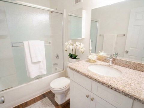A white toilet sits next to a sink in a bathroom.