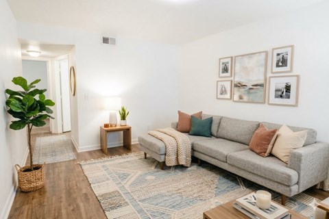 A living room with a grey couch, a small table, a plant, and pictures on the wall.