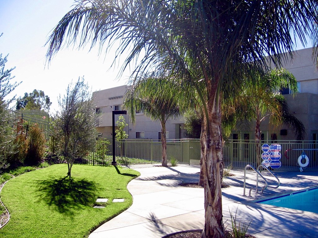 a yard with palm trees and a pool in front of a building