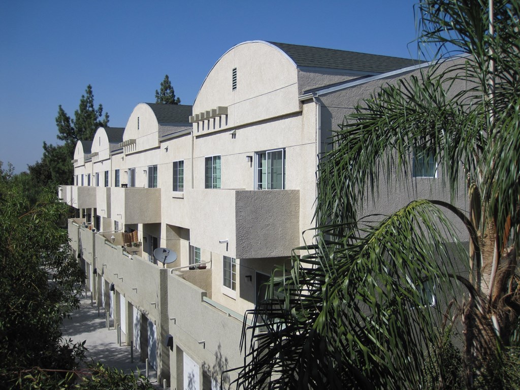 a row of buildings with palm trees in front of them