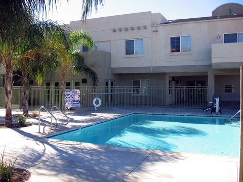 A pool in front of a building with a palm tree.