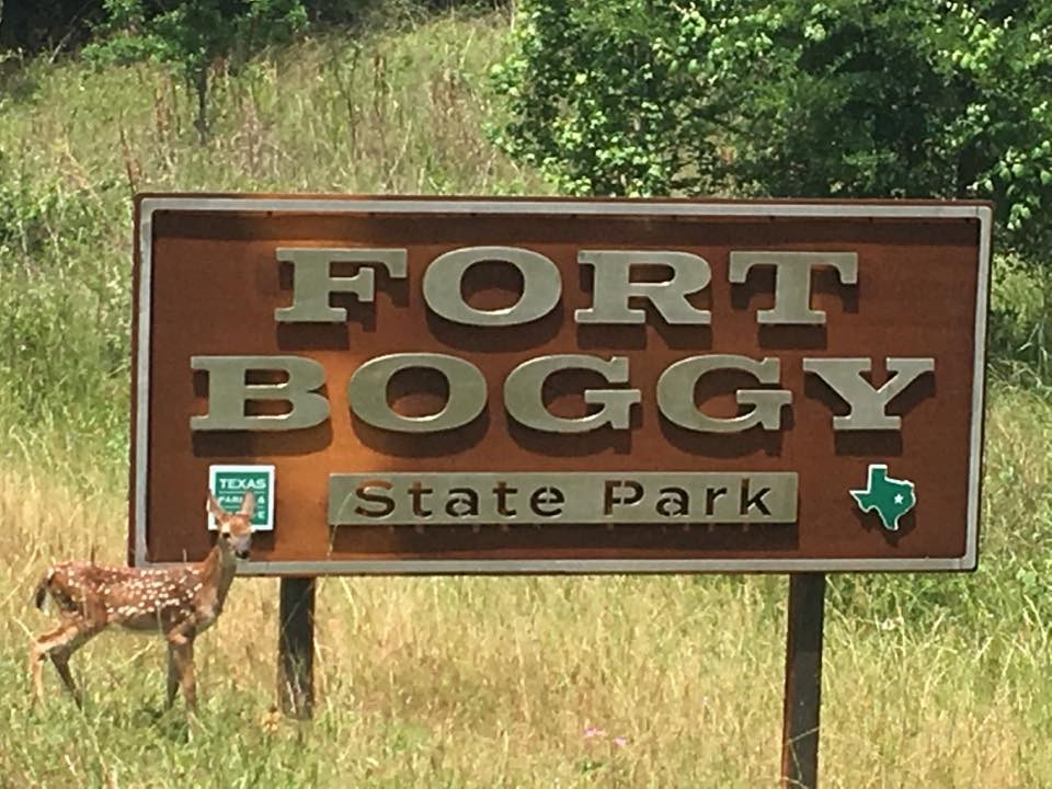 a baby deer standing next to a sign