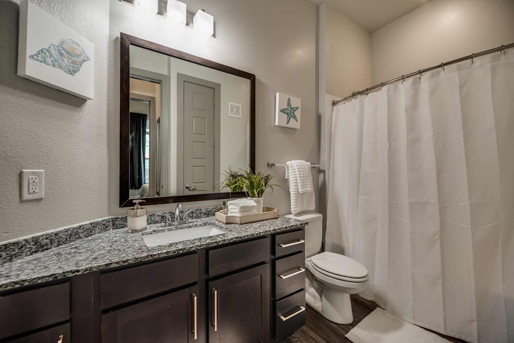 a bathroom with a toilet and a sink and a mirror