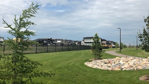 a park with houses in the background