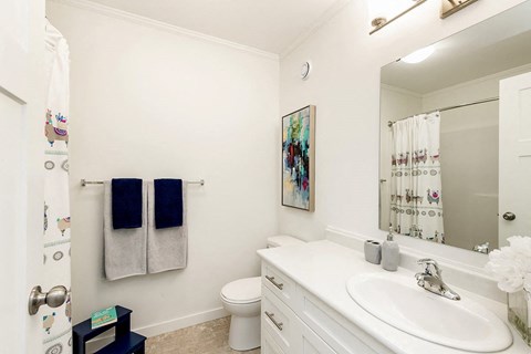 a bathroom with a sink toilet and a mirror