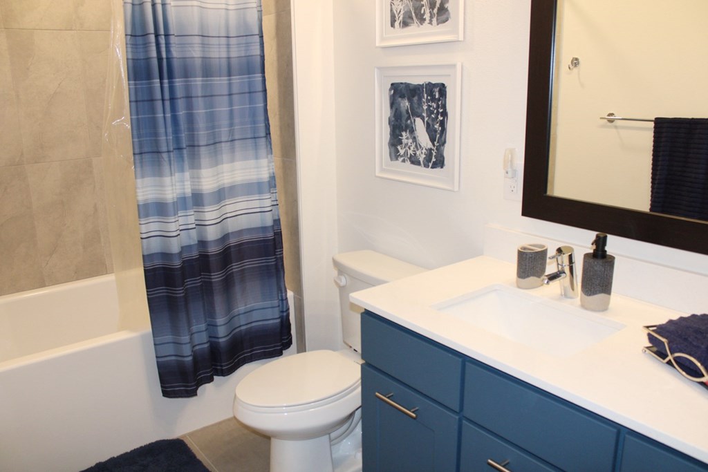 a blue and white bathroom with a toilet sink and shower