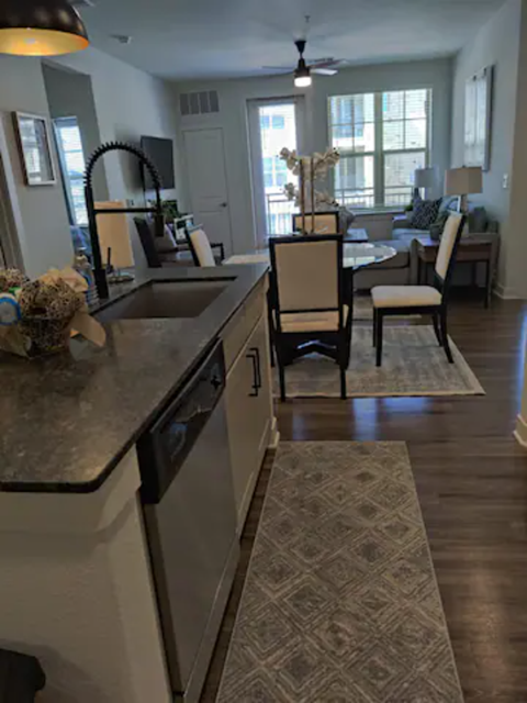 a kitchen and living room with a sink and a rug
