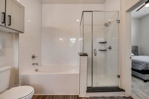 a bathroom with a shower and a toilet and a bed