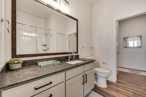 a bathroom with a large mirror and a toilet and a sink