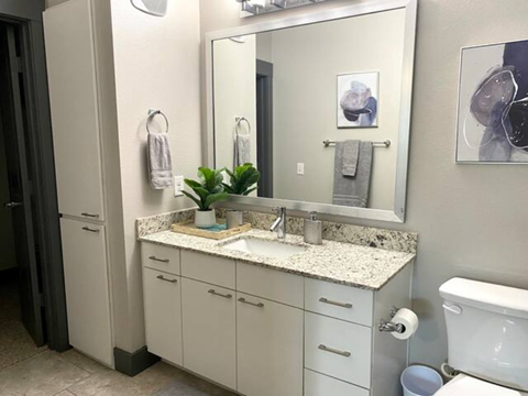 a bathroom with a sink and a mirror
