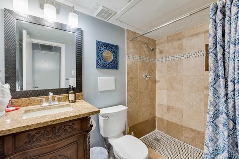 a bathroom with a shower toilet and sink and a mirror