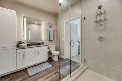 a bathroom with a shower and a sink and a toilet