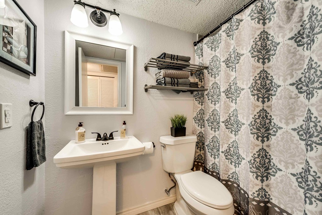 a bathroom with a toilet sink and a mirror