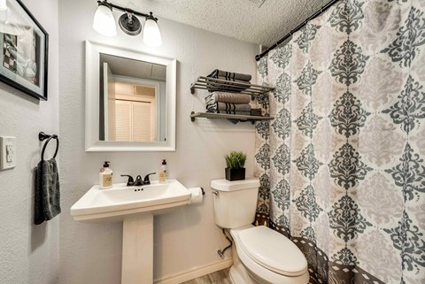 a bathroom with a toilet sink and a mirror