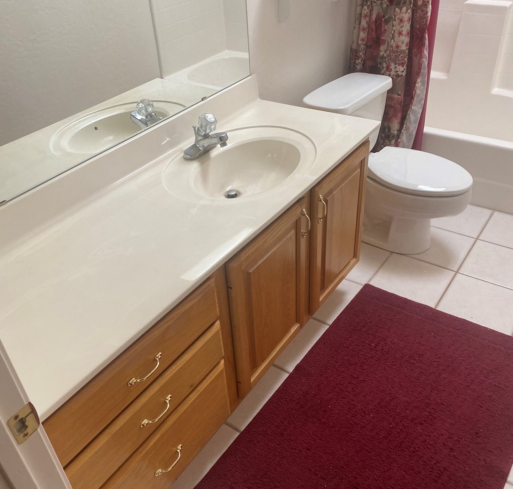 a bathroom with a sink and a toilet and a red rug