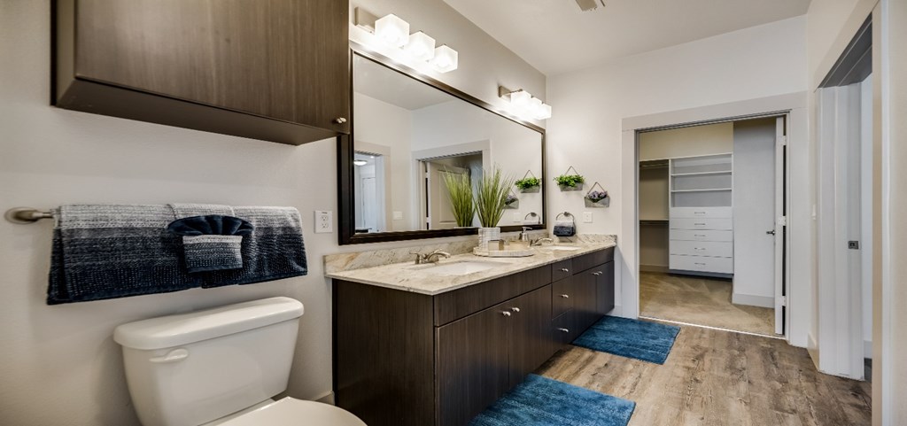 a bathroom with a toilet and a sink and a mirror