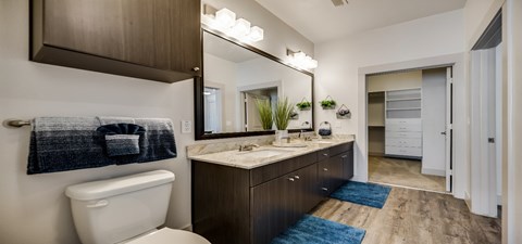 a bathroom with a toilet and a sink and a mirror