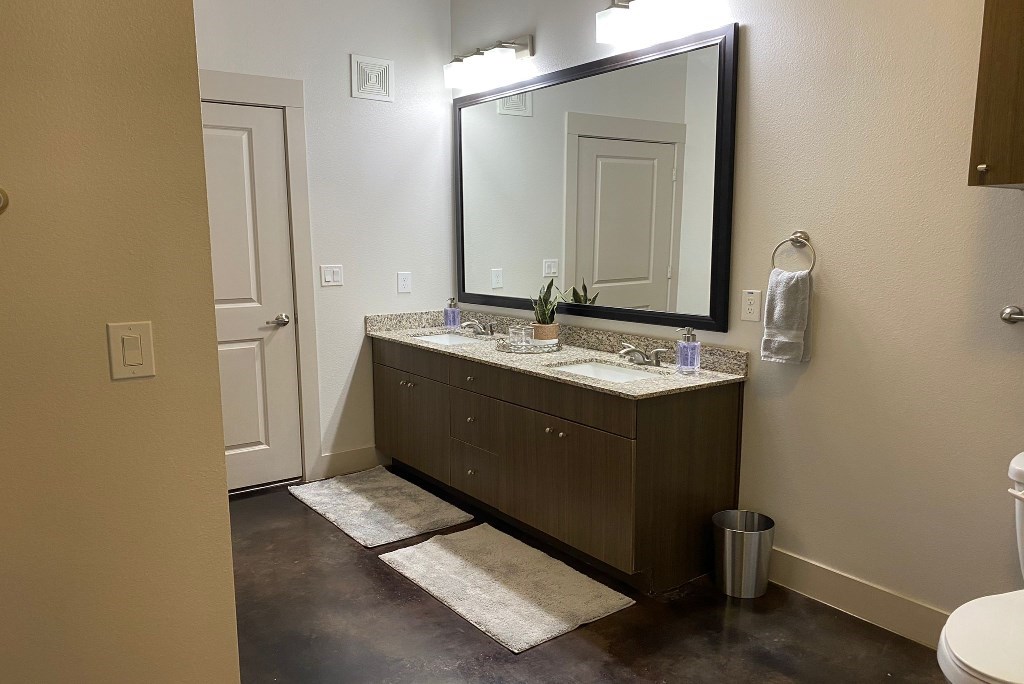 a bathroom with a sink and a mirror and a toilet