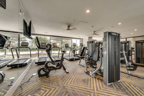 the gym is equipped with a variety of exercise equipment