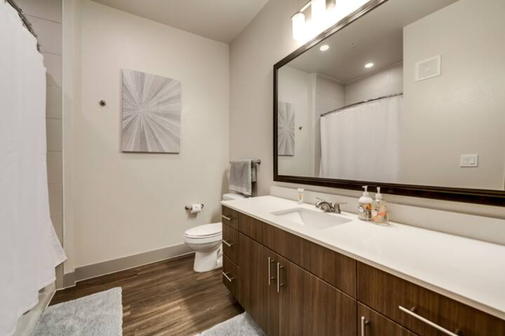a bathroom with a sink and a toilet and a mirror