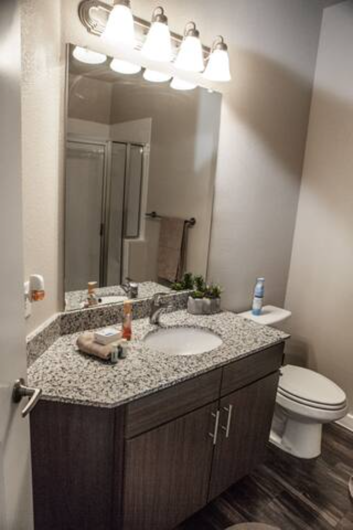 a bathroom with a sink and a toilet and a mirror