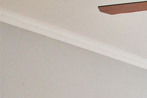 642W an empty room with a ceiling fan and three windows