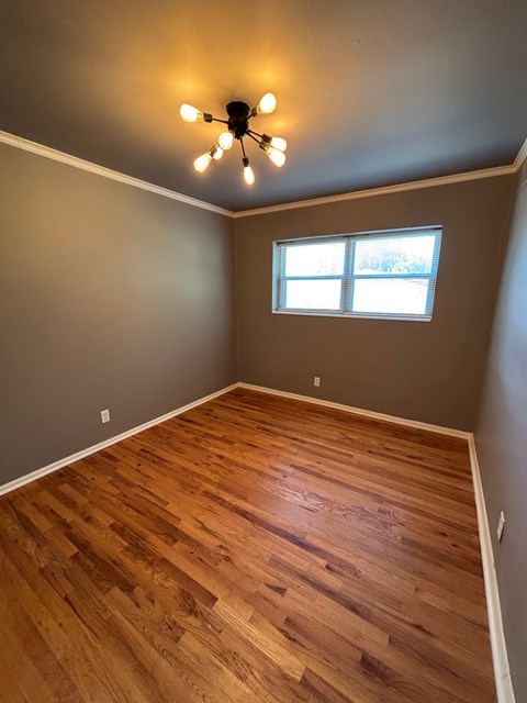 A room with wooden flooring and a ceiling fan with lights.