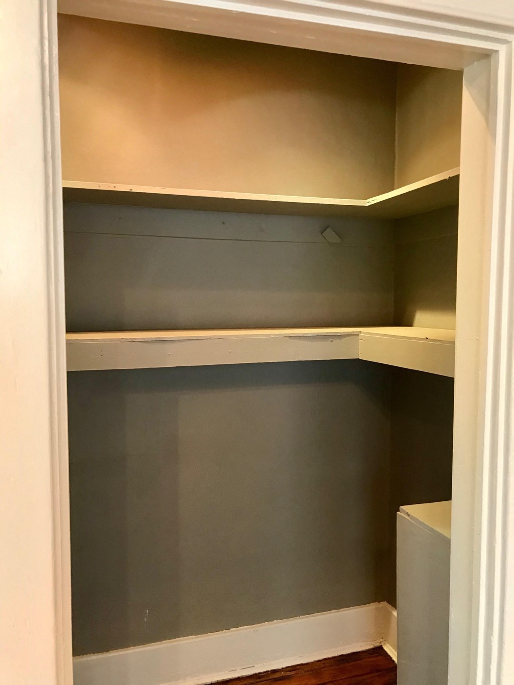 the closet has been cleared out and the shelves are empty