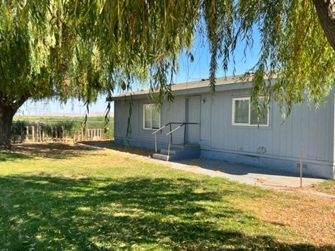 a white house with a tree in front of it