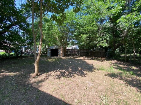 A tree stands in a yard with a small building behind it.