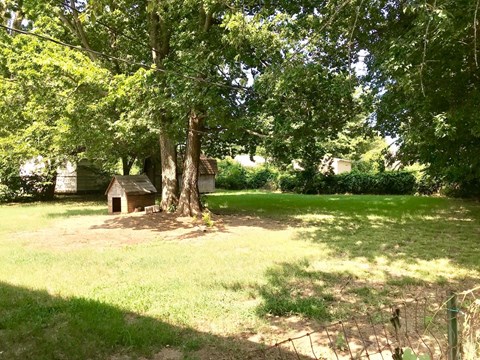 A small house is surrounded by trees in a grassy area.