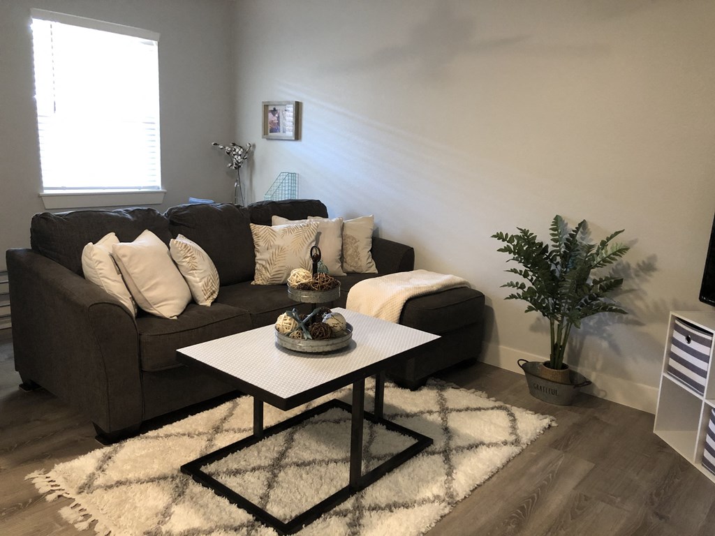 a living room with a couch and a coffee table