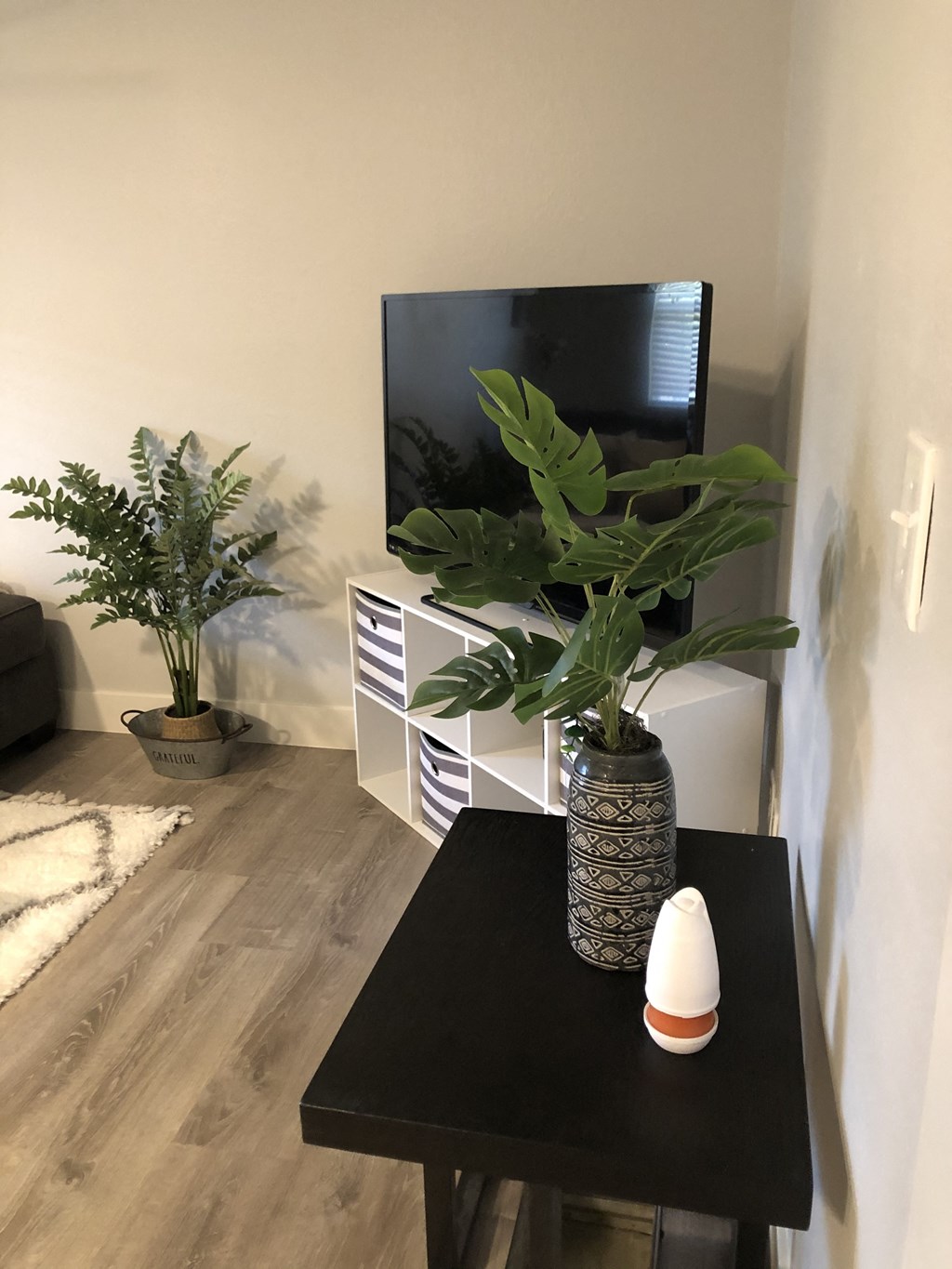 a living room with a tv and a table with a plant
