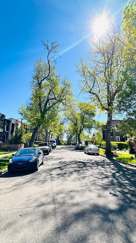 a street with cars parked on the side of the road