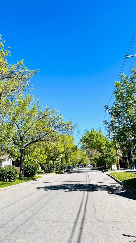 an empty street with trees on both sides and a blue sky