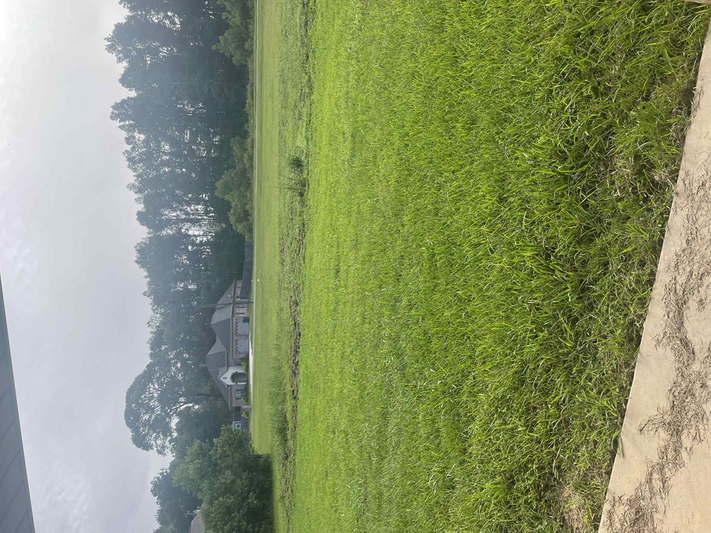 an aerial view of a grassy field with a boat on the water