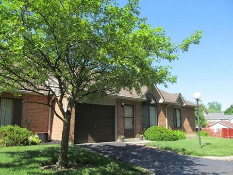 A tree in front of a brick house.
