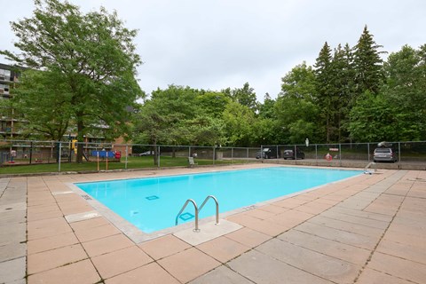 A small pool surrounded by trees and a fence.