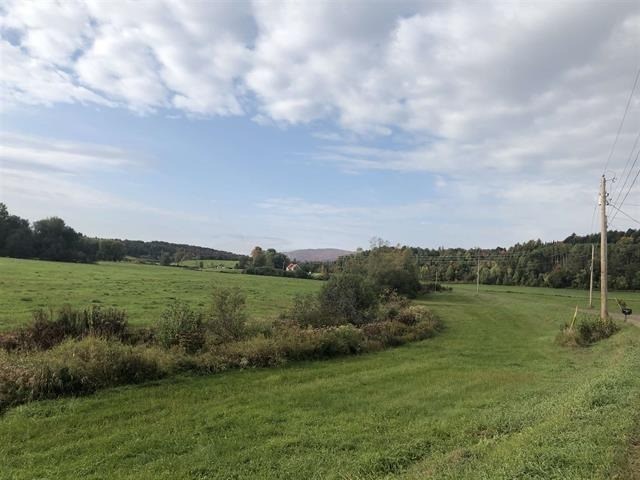 a field with a field of green grass and trees