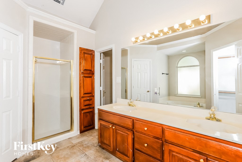 a bathroom with a sink and a mirror and a shower