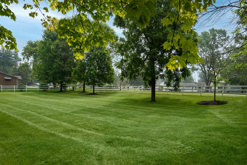 a large grass field with trees and a white fence