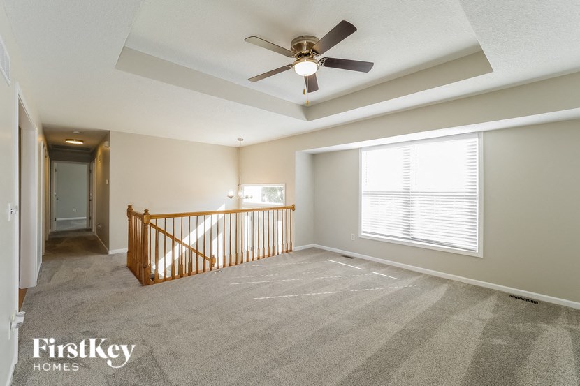 A spacious room with a ceiling fan and a carpeted floor.