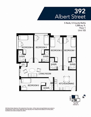 392 Albert St, Suite 103 1 Bed Apartment for Rent - Photo Gallery 2