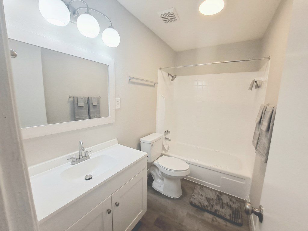 a bathroom with a sink and a toilet and a shower