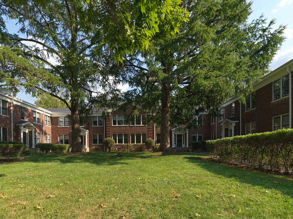 A tree in front of a building with a lawn in the foreground.